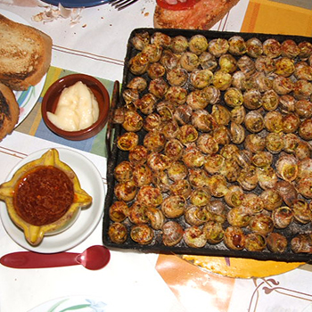 Descobrir la seva gastronomia